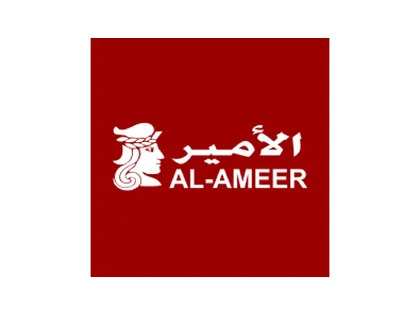Al Ameer